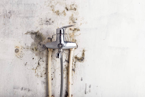 Best Residential Mold Removal  in Darien, GA