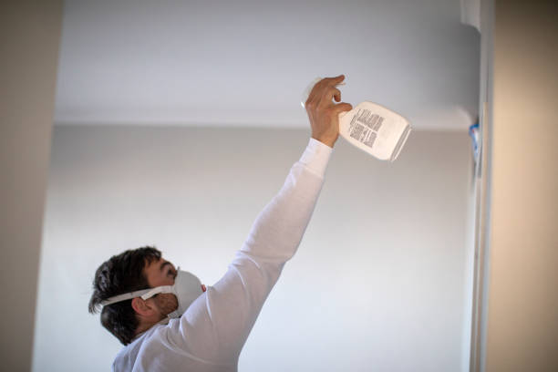 Best Attic Mold Removal  in Darien, GA