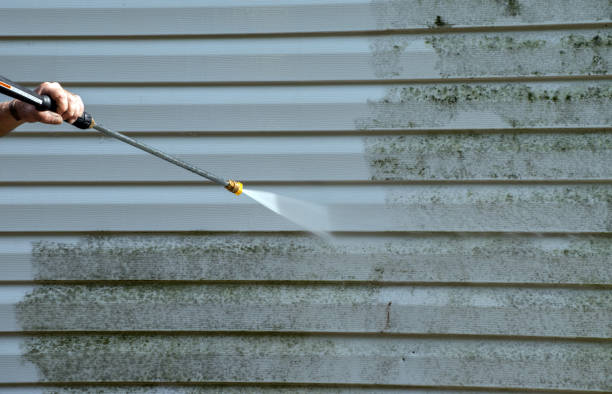 Mold Testing and Removal in Darien, GA