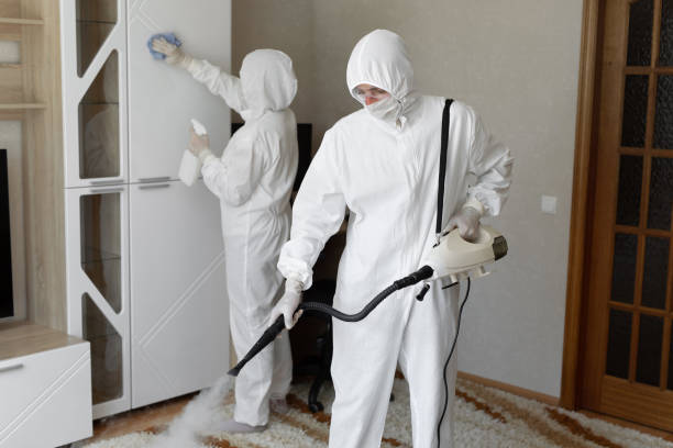 Best Toxic Mold Removal  in Darien, GA